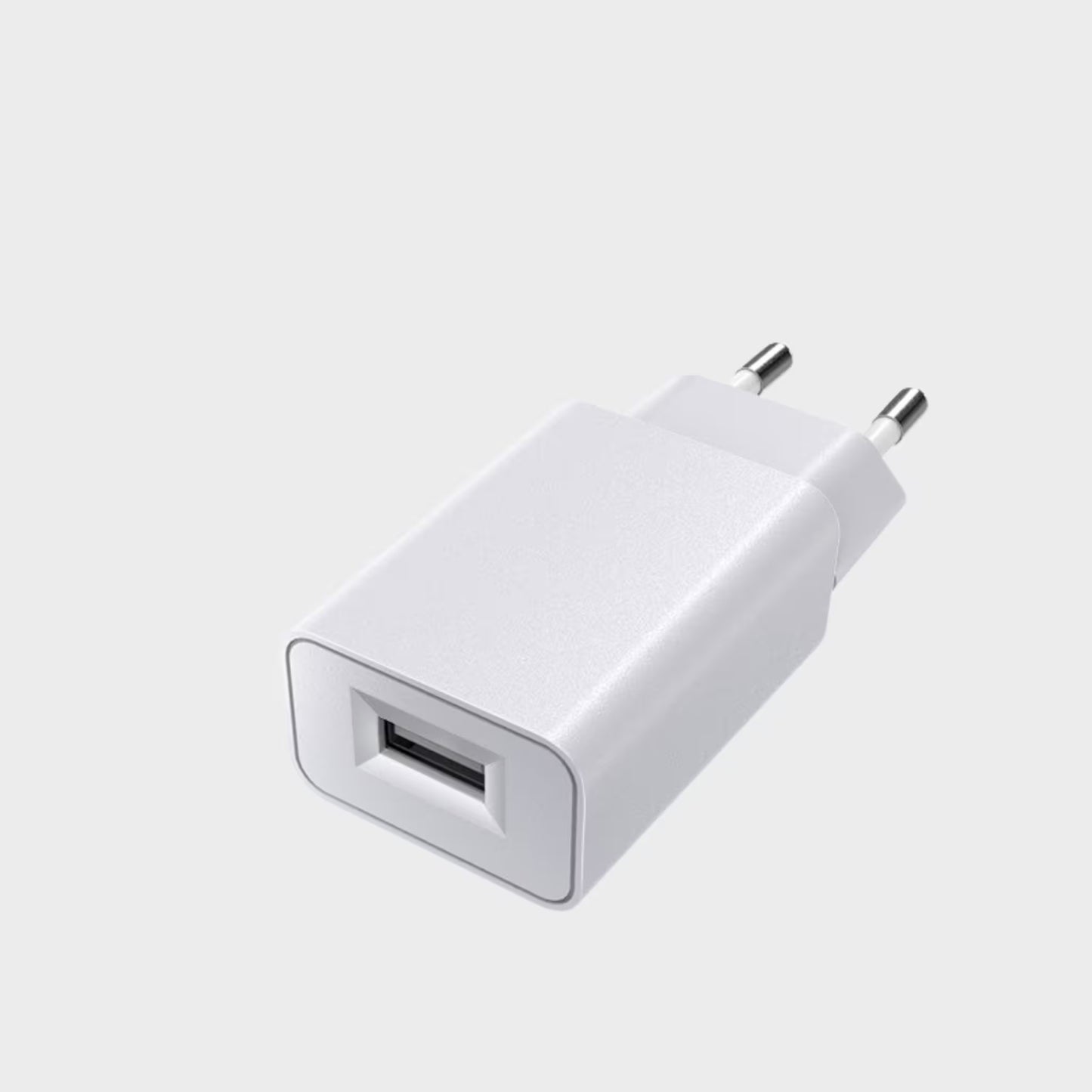 Prise chargeur 20W